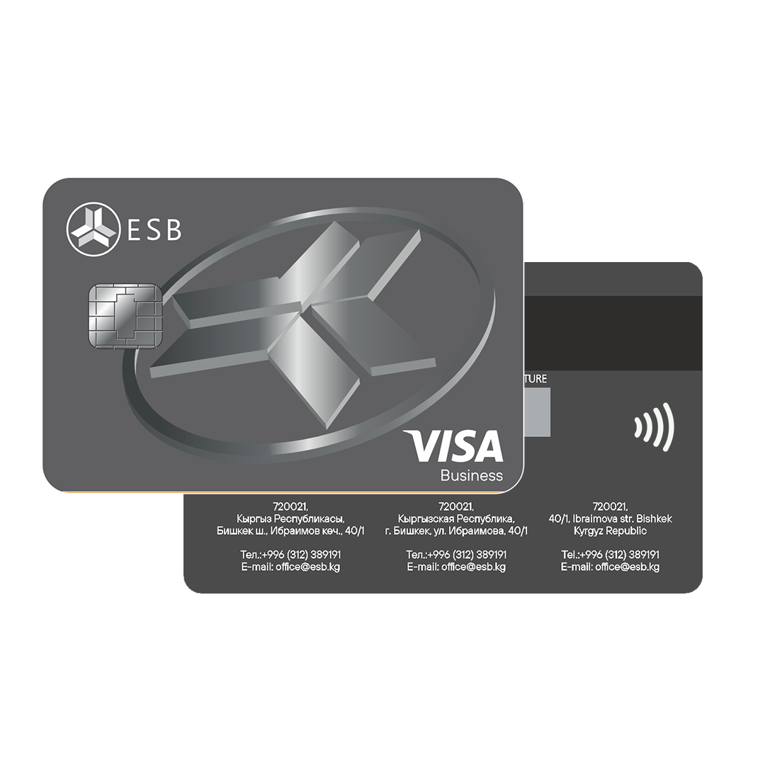 VISA BUSINESS Image