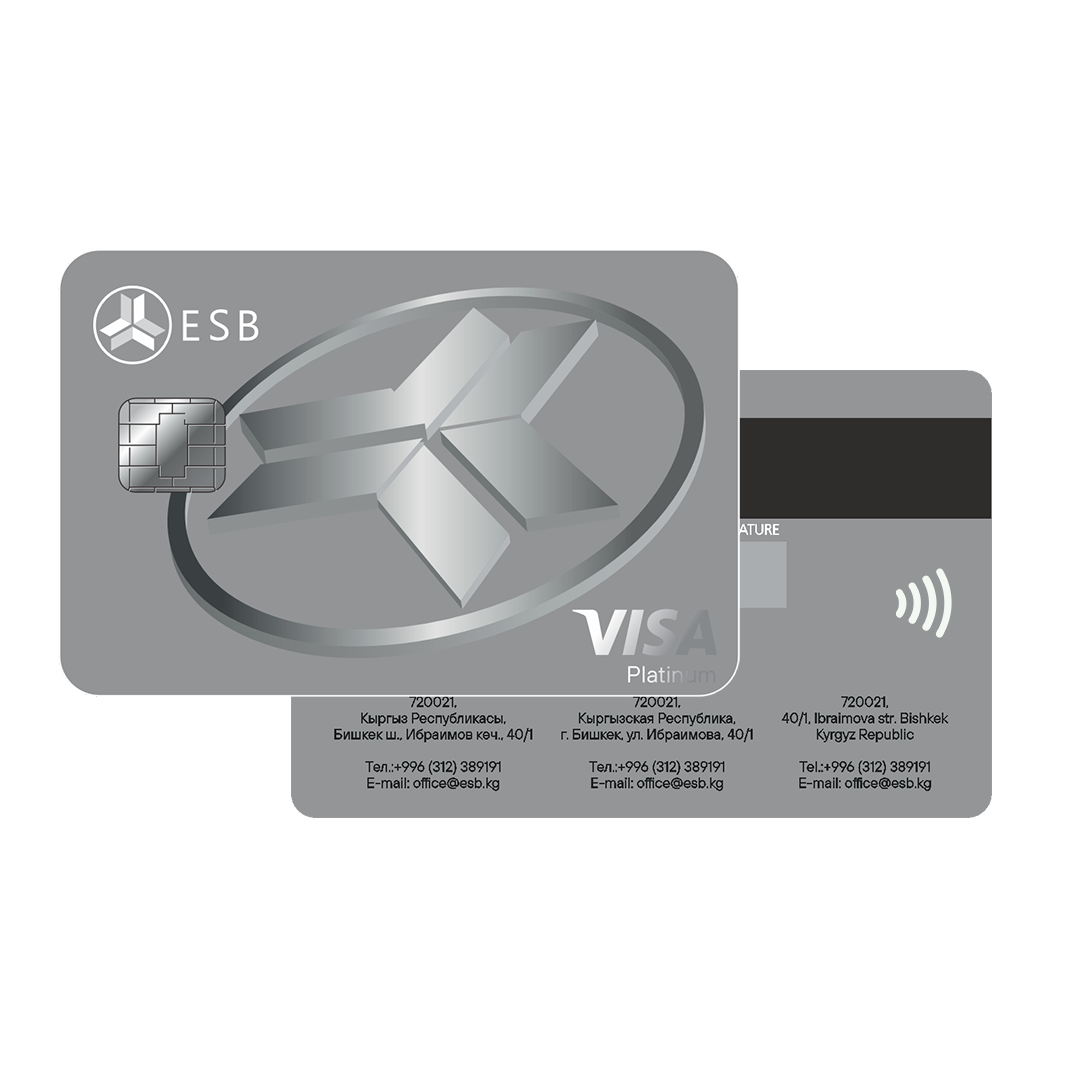 VISA PLATINUM Image